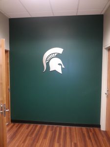 corporate-walls-msu-spartan-helmet-20130320_093202-cc